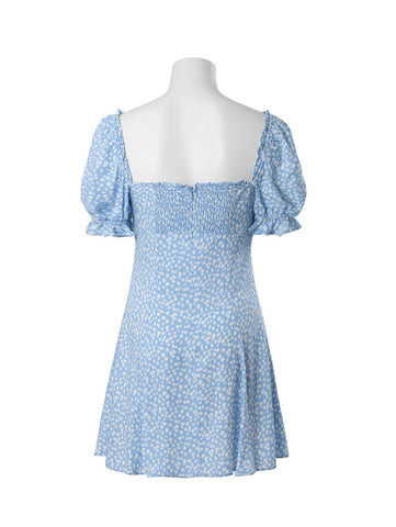 Daisy Blue Mini Dress